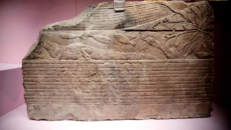 متحف الغردقة يحتفل باليوم العالمي للمياه ويستعرض كنوزه الأثرية