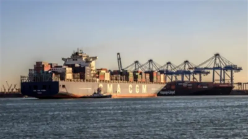 ميناء دمياط يشهد حركة نشطة: خروج قطارين محملين بالقمح وارتفاع في حركة البضائع