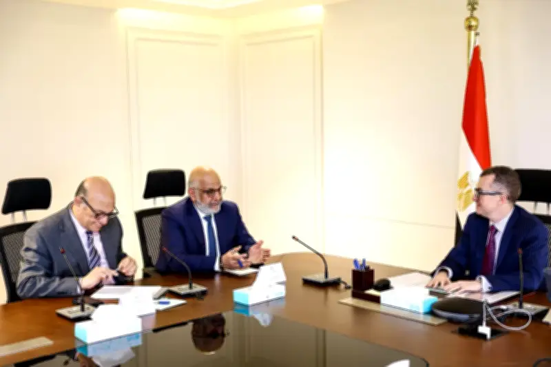 وزير التخطيط يؤكد دعم المشروعات وتوسيع قاعدة الإنتاج لخلق فرص عمل جديدة