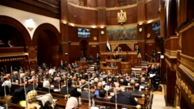 اقتراح برلماني لتشديد الرقابة على أغذية الأطفال في مصر بعد أزمات عالمية