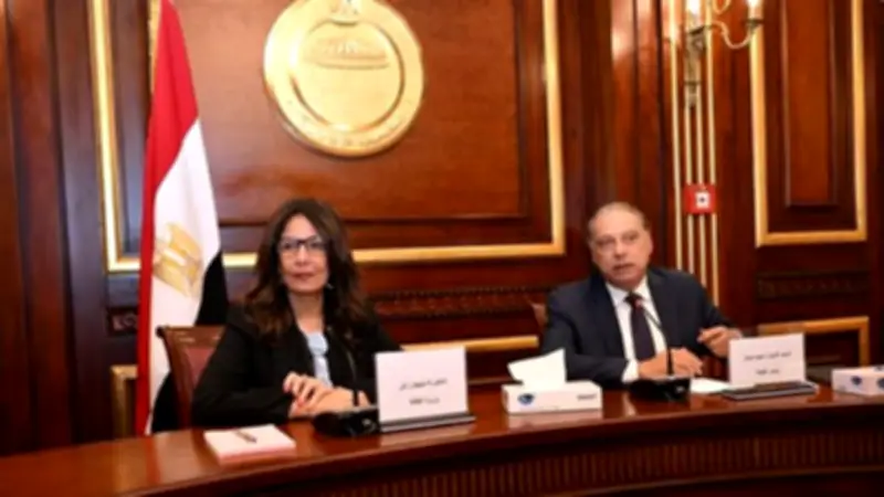جيهان زكي تتعهد بتحول فكري في قصور الثقافة خلال لقاء بمجلس الشيوخ