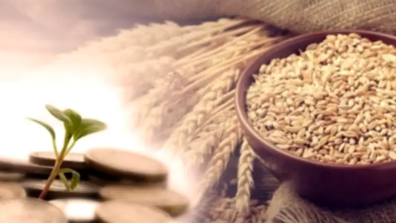 زكاة الفطر: أزهري يوضح جواز إخراجها عن الأبناء المتزوجين في حالة واحدة