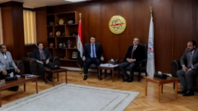 المحطات النووية تؤكد تعزيز التنسيق مع الرقابة الإشعاعية لدعم مشروع الضبعة