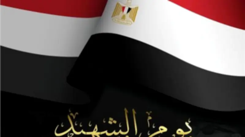 محافظ أسوان: ذكرى يوم الشهيد مناسبة وطنية عظيمة تستحضر بطولات وتضحيات الأبناء