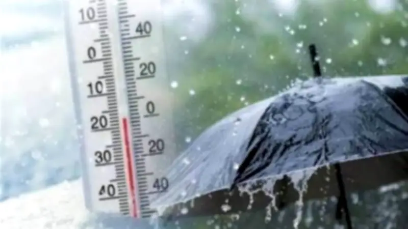 الأرصاد المصرية تحذر من شبورة وأمطار خفيفة.. تفاصيل طقس الثلاثاء