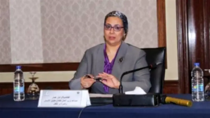 أمل عمار: المرأة المصرية تتمتع بظهير دستوري قوي يضمن المساواة وتكافؤ الفرص
