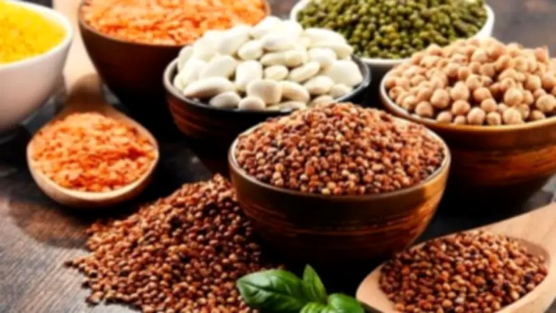 تراجع أسعار المحاصيل الزراعية عالمياً مع هبوط النفط وتهدئة مخاوف الحرب مع إيران