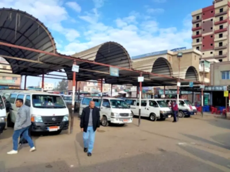 تعريفة الأجرة الموحدة تشمل جميع المواصلات في محافظة الدقهلية