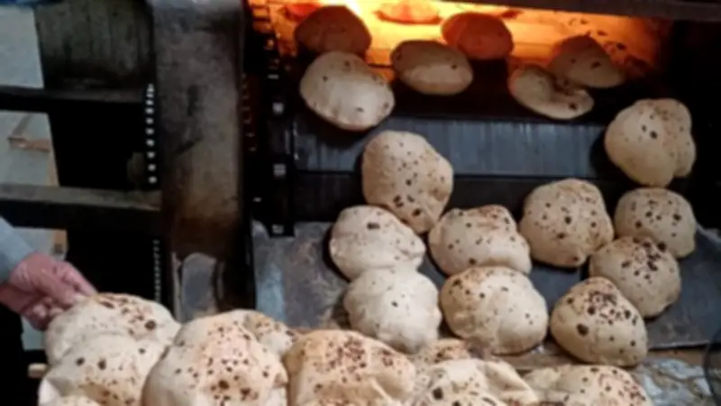 وزير التموين يؤكد: سعر رغيف الخبز المدعم ثابت رغم ارتفاع أسعار الوقود