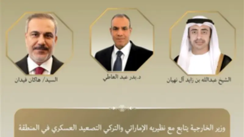 وزير الخارجية المصري يؤكد تضامن مصر مع الإمارات ويدين انتهاك السيادة التركية