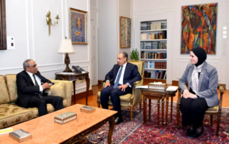 وزير الخارجية المصري يؤكد حرص بلاده على دعم مؤسسات جامعة الدول العربية