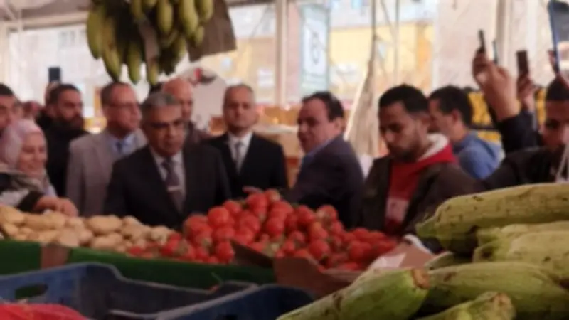 محافظ الدقهلية يتفقد المعرض الدائم بشرق المنصورة لضبط الأسعار وتوفير السلع الغذائية