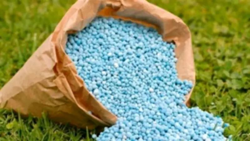 ارتفاع أسعار الأسمدة في الأسواق باستثناء النترات المخصوص مع استمرار أزمة السوق السوداء