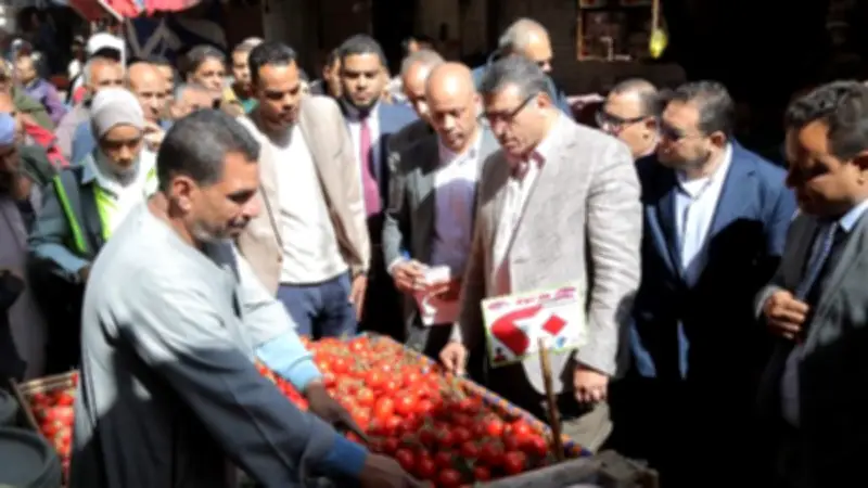 محافظ قنا يجري جولة مفاجئة لمراقبة أسعار السلع الغذائية في سوق السهاريج