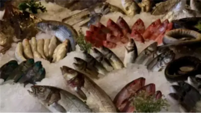 تقلبات أسعار الأسماك في سوق العبور: انخفاض البلطي والجمبري وارتفاع الكابوريا وقشر البياض