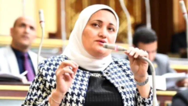 النائبة سناء السعيد: المنتزهات التكنولوجية بالجامعات تربط الخريجين بسوق العمل