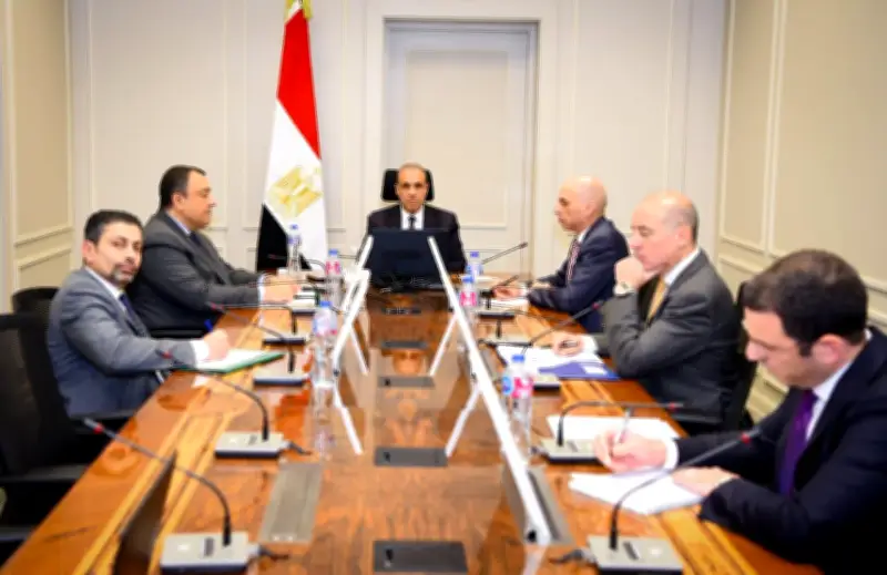 وزير الخارجية المصري يجدد دعوته لتشكيل قوة عربية مشتركة قادرة على مواجهة التهديدات