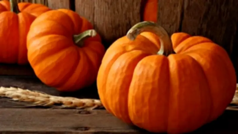 خبير تغذية يوصي بتناول قرع العسل لفوائده الصحية المذهلة