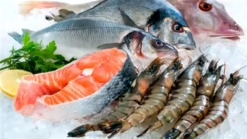 أسعار الأسماك تشهد تباينًا ملحوظًا: انخفاض البلطي وارتفاع الجمبري والمكرونة في سوق العبور