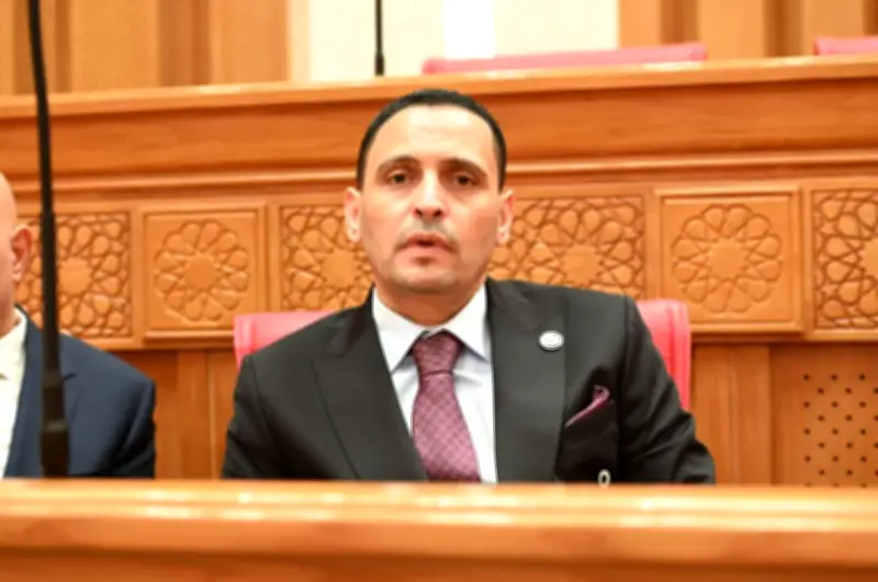 التلواني: القاهرة تسعى لفتح قنوات للحوار بين مختلف الأطراف لخفض التصعيد