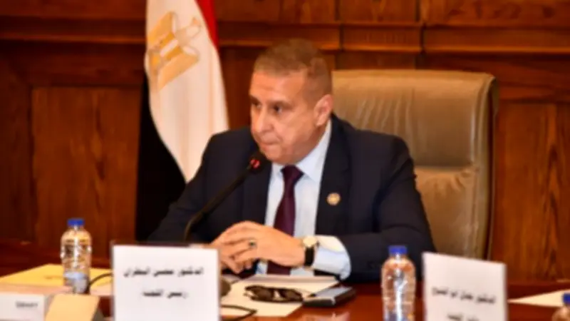 برلماني يؤكد حرص الدولة على حماية المواطنين وتوفير السلع رغم التحديات الإقليمية