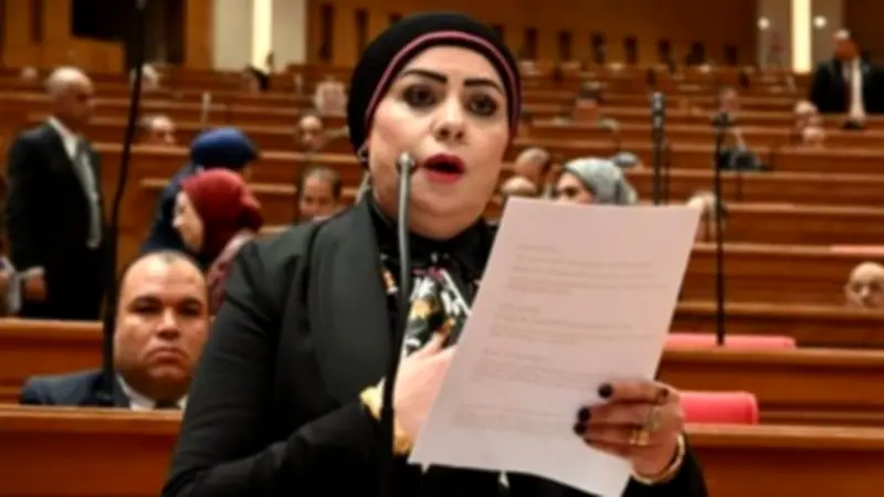 برلمانية: كلمة السيسي في إفطار الأسرة المصرية تؤكد رؤية واضحة لدعم الاستقرار الإقليمي