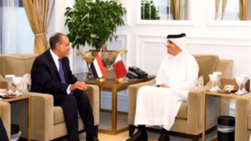 وزير الخارجية المصري يلتقي نظيره القطري لبحث جهود خفض التصعيد العسكري في المنطقة