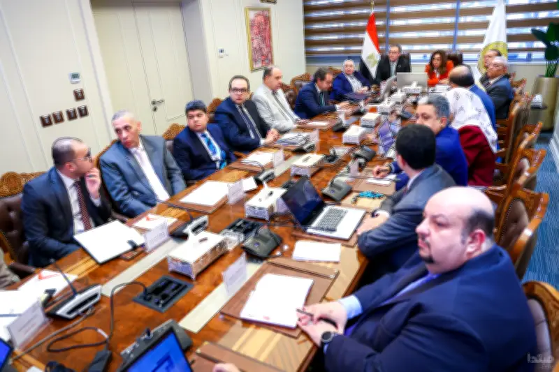 وزيرة التنمية والبيئة ورئيس التنظيم والإدارة يتفقان على مقترح الهيكل التنظيمي للوزارة