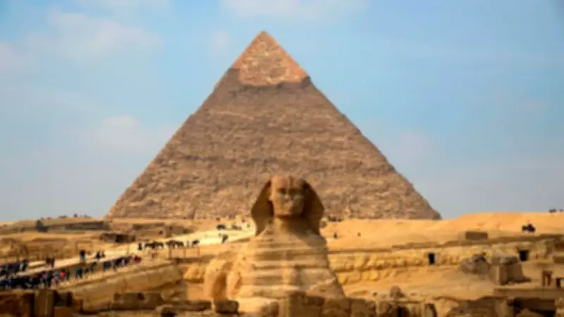 نائب الشيوخ: تنشيط السياحة مفتاح دعم الاقتصاد وزيادة العملة الصعبة في مصر