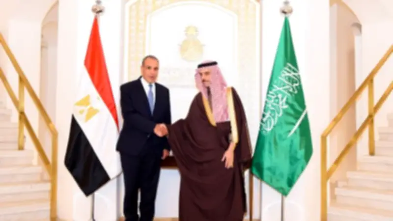 مصر والسعودية تبحثان التنسيق العربي لمواجهة التطورات الإقليمية في الرياض