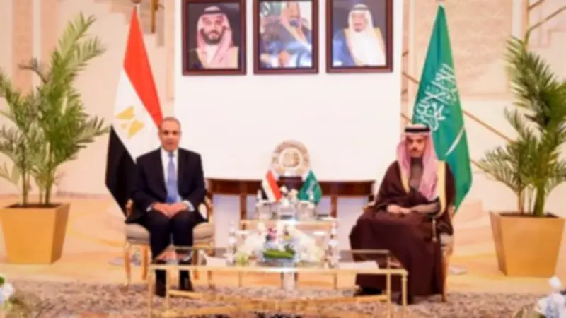 مصر والسعودية تبحثان في الرياض سبل خفض التصعيد وتعزيز الأمن القومي العربي