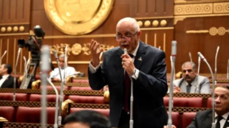 برلماني مصري: أمن الخليج خط أحمر لا يقبل المساس به من قبل أي جهة