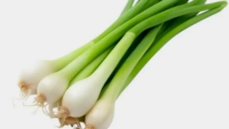 البصل الأخضر: كنز صحي يقي من الأمراض ويقوي العظام وينظم السكر
