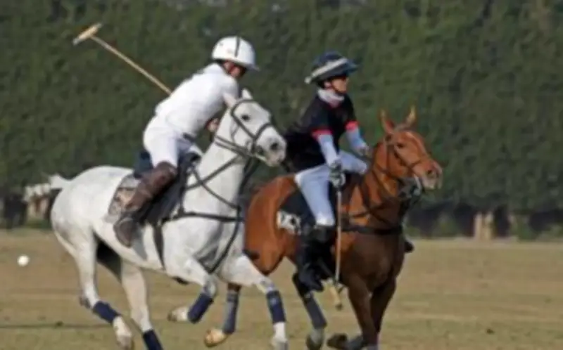 فريق الداخلية يحصد بطولة الجمهورية للبولو للعام الثاني على التوالي