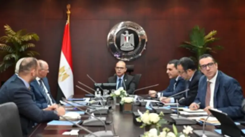 وزير الاستثمار يبحث مع "رينيرجي جروب" تطورات أكبر مشروع للطاقة الخضراء ومركز بيانات عالمي في مصر