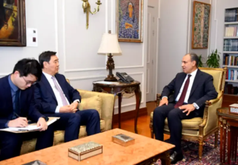 وزير الخارجية المصري يناقش مع المبعوث الصيني التطورات الإقليمية والأوضاع في غزة