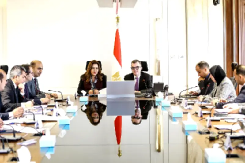 وزير التخطيط يعلن تطوير منظومة متابعة الخطة الاستثمارية لرفع كفاءة الكوادر المحلية