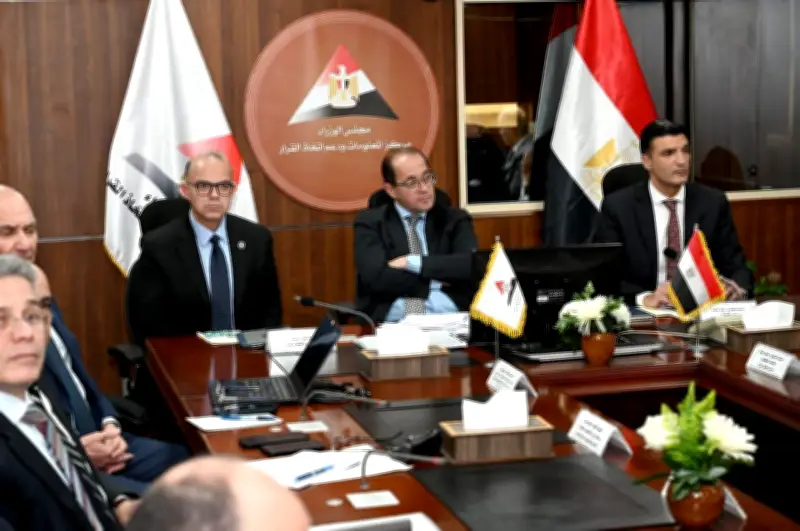 وزير المالية: حوافز استثمارية وضريبية وجمركية لتعزيز المكون المحلي في صناعة السيارات