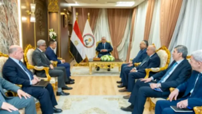 وزير الإنتاج الحربي يبحث مع شركة تاليس الفرنسية تعزيز التعاون في الإلكترونيات والاتصالات العسكرية