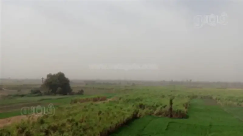 الأقصر في حالة طوارئ: عاصفة ترابية ورياح شديدة تضرب المحافظة مع ارتفاع درجات الحرارة