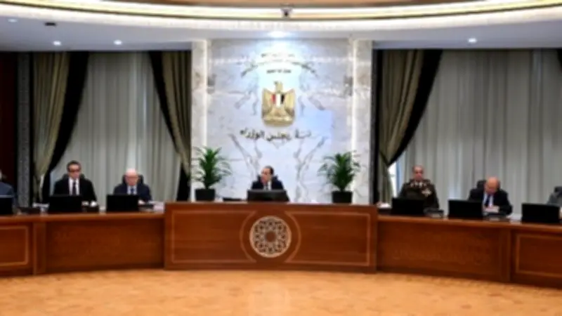 رئيس الوزراء يعلن إرجاء مشروعات كثيفة استهلاك السولار لمواجهة الأزمة الإقليمية