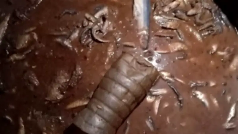 ضبط طن من الأسماك المملحة الفاسدة في حملة رقابية بالقليوبية استعدادًا لعيد الفطر