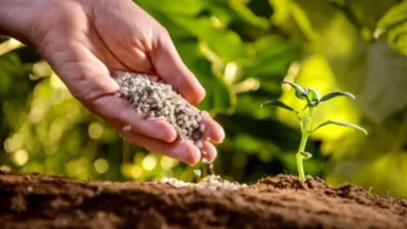 وزارة الزراعة تؤكد توافر الأسمدة المدعمة وتدعو المزارعين للإبلاغ عن المخالفات