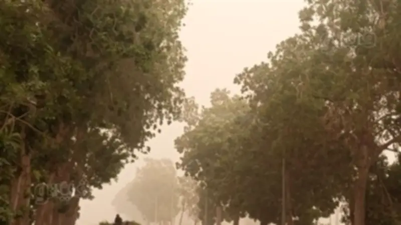 وزير الكهرباء يعلن مد ساعات عمل المراكز الخدمية حتى العاشرة مساءً خلال عيد الفطر