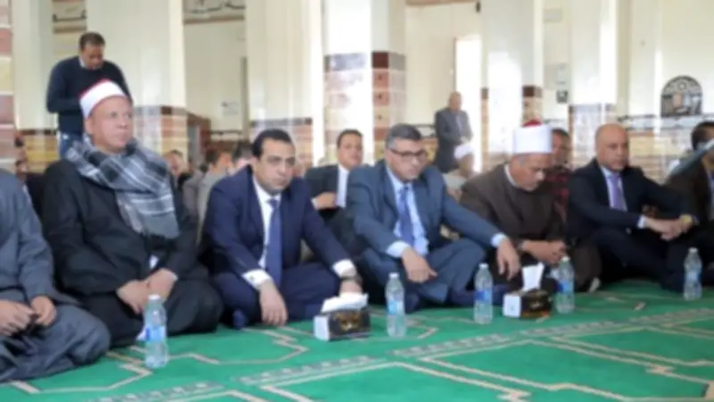 محافظ قنا يؤكد استمرار الجولات الميدانية لحل مشاكل المواطنين في أول أيام العيد