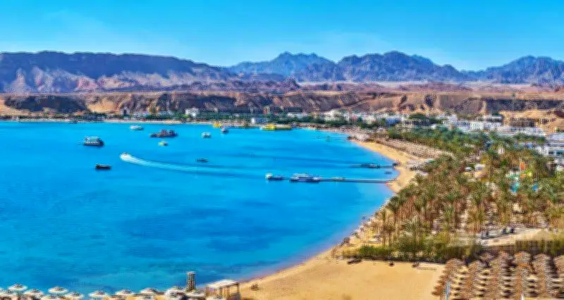 وزارة السياحة تطلق قنوات تواصل مباشر مع المواطنين والسياح لتعزيز الخدمات