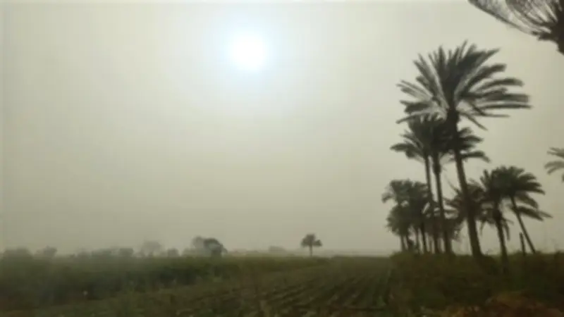 عاصفة ترابية وتقلبات جوية تضرب محافظة الدقهلية في أول أيام عيد الفطر