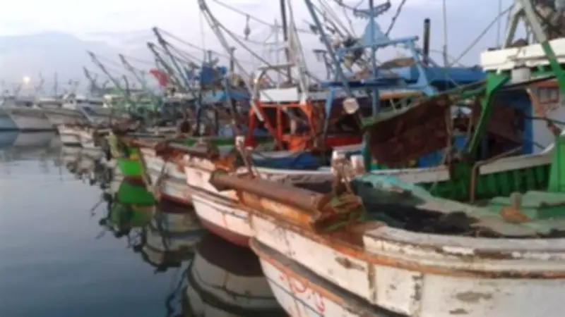 استمرار توقف الملاحة والصيد بميناء البرلس بسبب سوء الأحوال الجوية