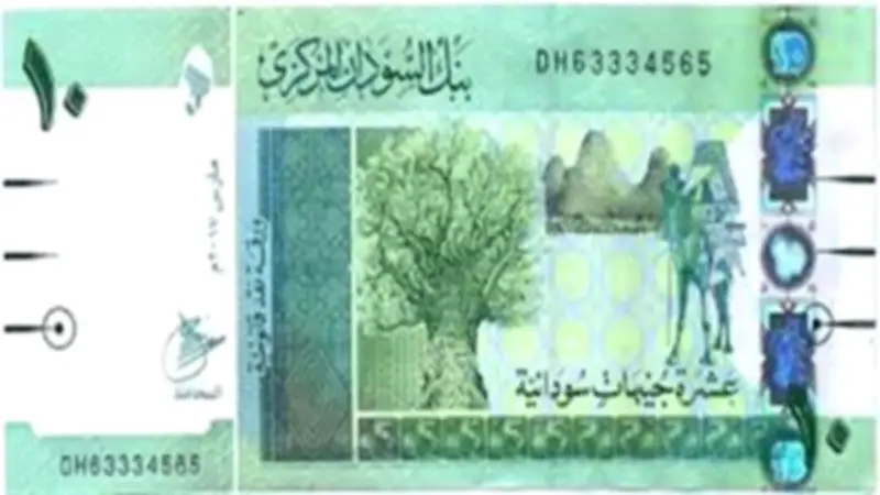 استقرار سعر الدولار أمام الجنيه السوداني في بنك السودان المركزي اليوم