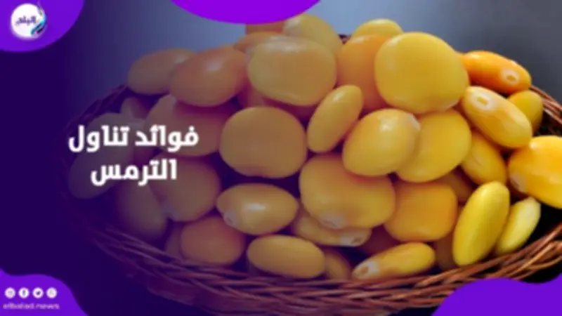 الترمس: كنز غذائي يعزز المناعة ويحمي القلب ويحسن الهضم